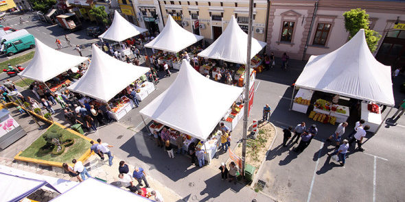 agroexpo
