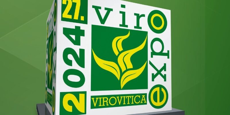 393770437_728437872660075_8075570852367008759_n-e1706187481281-1485×742